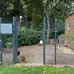 Carla Rohls Koenigs Wusterhausen