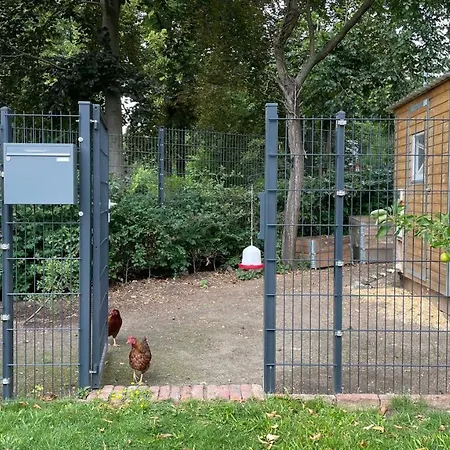 Carla Rohls Koenigs Wusterhausen