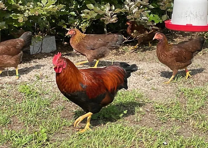 شقة Carla Rohls Königs Wusterhausen