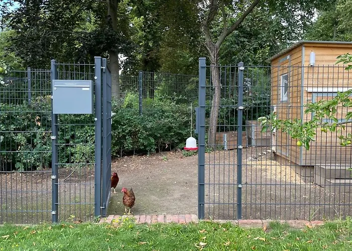 Carla Rohls Königs Wusterhausen